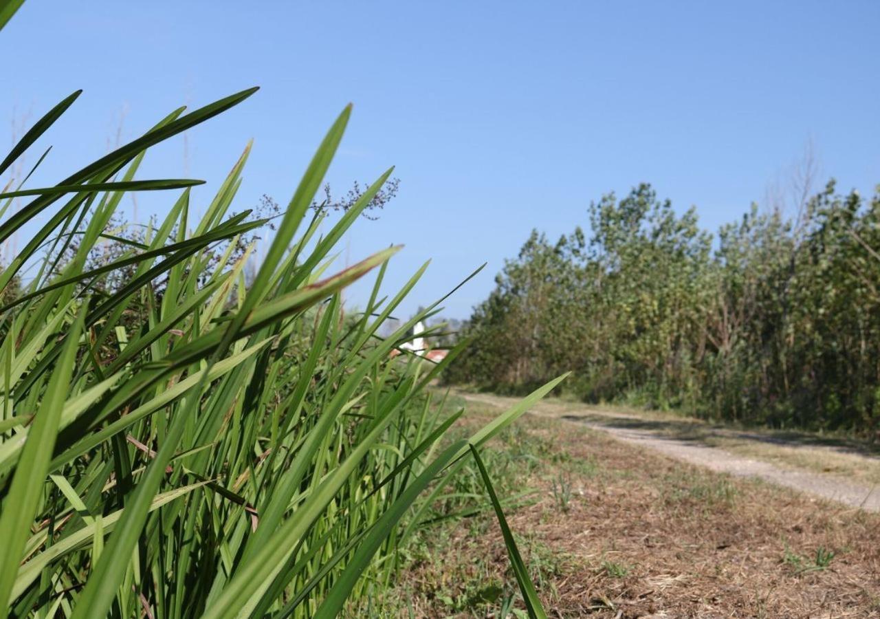 Greenside Of Sea Corujeira 外观 照片